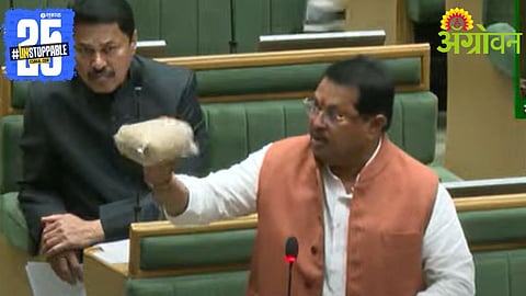 Soybean procurement allegations Maharashtra