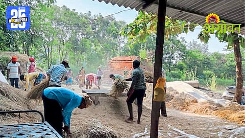 Paddy Farmers Issues