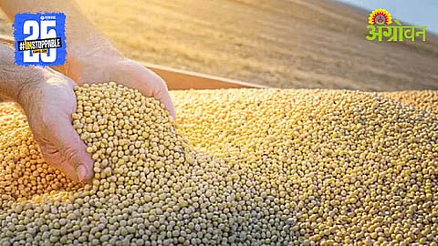 NAFED Soybean Procurement