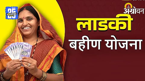 Ladki Bahin benefits ineligible beneficiaries