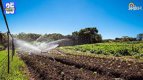 Micro Irrigation Scheme