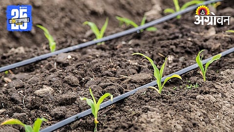 Fertilizer Use by Irrigation