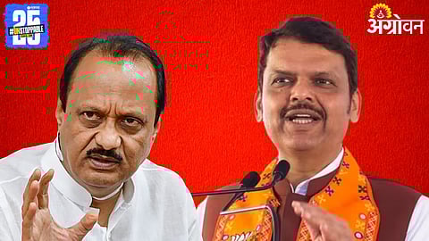 Devendra Fadnavis, Maharashtra local body elections