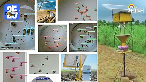 Pheromone Technology