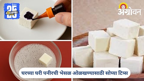 Fake Paneer Detection