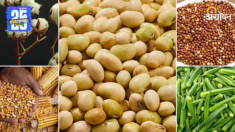 Agriculture Products