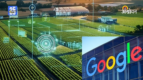 Google AI In Agri 