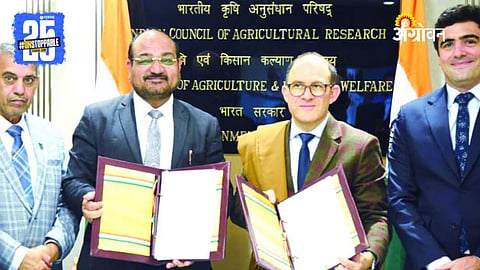 India Argentina Agriculture