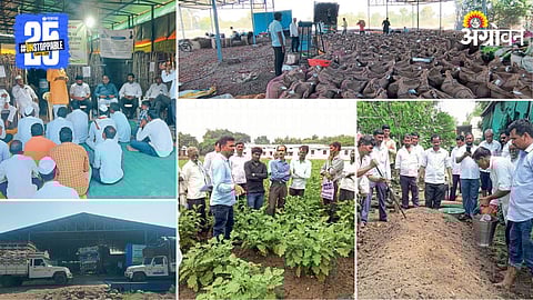 Farmer Producer Company