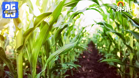 Agriculture research funding