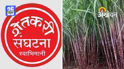 Sugarcane Price