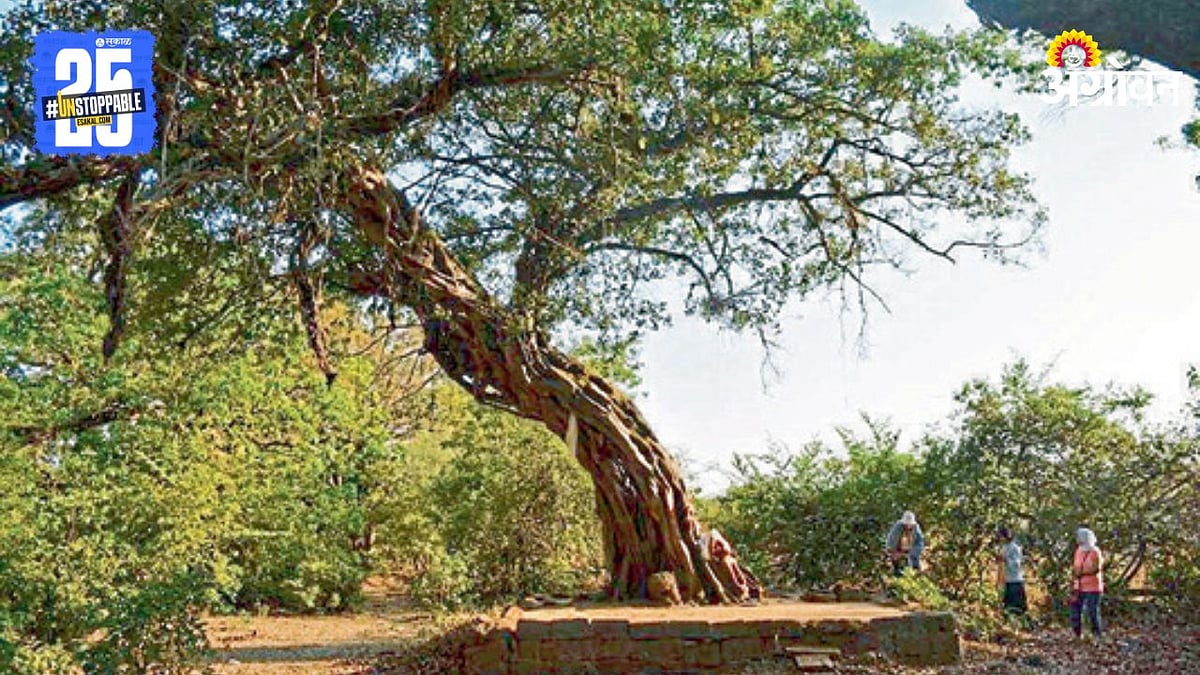 Devarai Conservancy | देवरायांच्या संवर्धनासाठी ‘आदिवासी विकास’चा ...