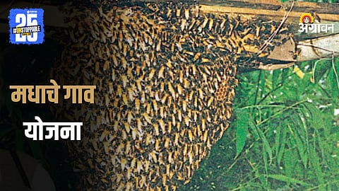 Honey Village Scheme