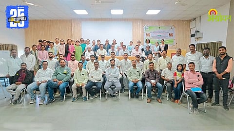 Bajare Sorghum Research