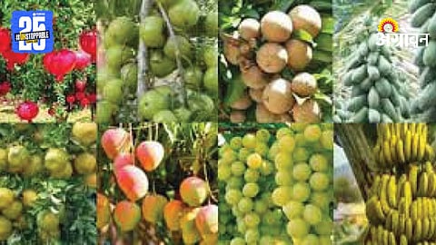 Fruit Orchard Cultivation