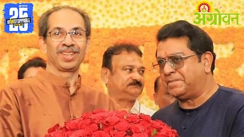 Thackeray Brothers Alliance