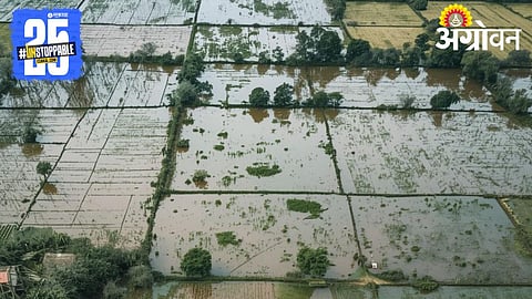 farmer compensation 289 crore