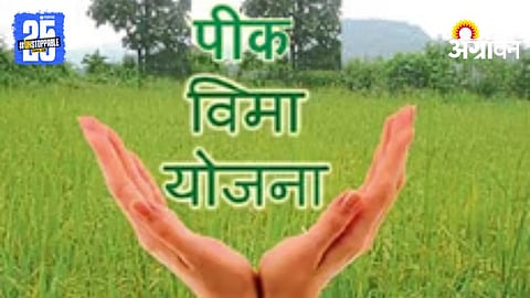 Rabi Crop Insurance