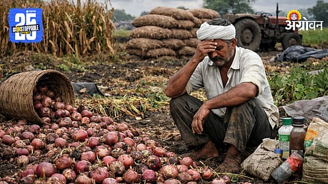 Onion Farmer