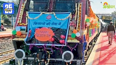 Chikoo Farmers Issue