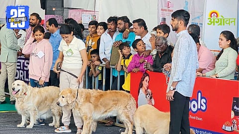 Dog Show Competition