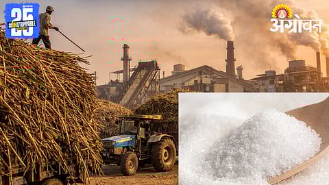 Sugarcane Crushing Season 