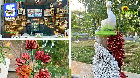 Cotton Residue Management