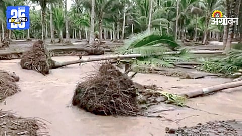 Climate Change Impact