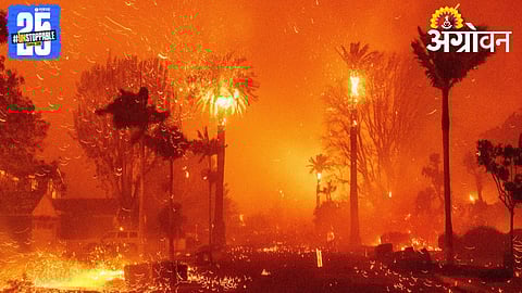 Climate Change Impacts