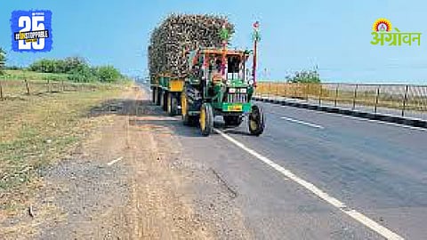 Sugarcane Transport