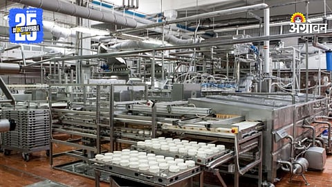 Dairy Industry