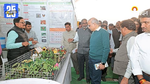 Commercial Farming Technology