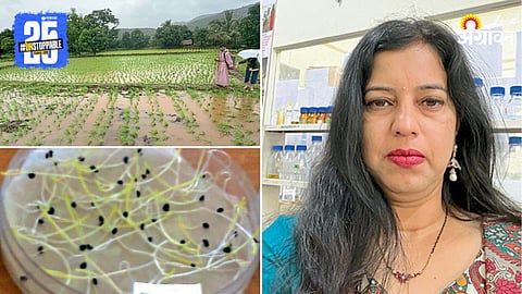 Agriculture Research