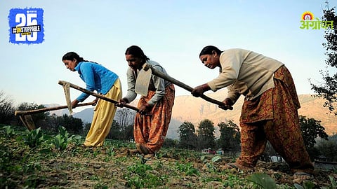 Indian Farmer Women