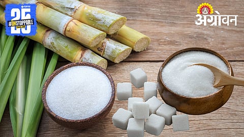 Organic Sugar Export