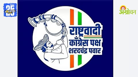 Local Body Elections