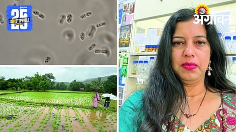 Agriculture Innovation