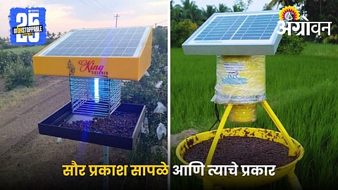 Insect Trap for Agriculture