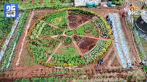 Organic Kitchen Garden