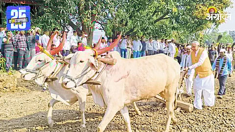 Governor Acharya Devvrat