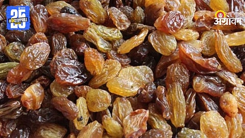 Cold Storage Inspection