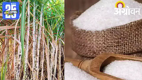 Kolhapur sugar production