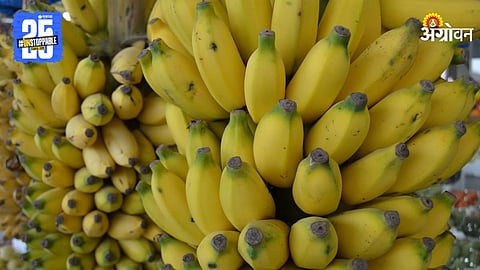 YeIakki Banana