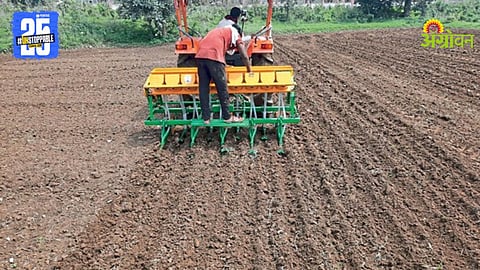 Paddy Cultivation