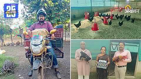 Farming and poultry business