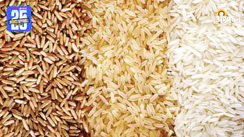 Rice Variety