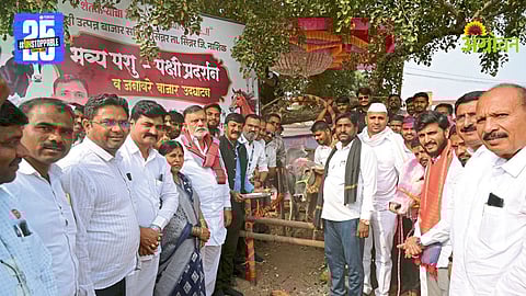 Livestock Exhibition