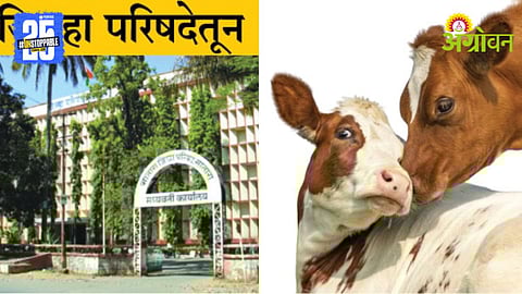 Livestock Development Schemes