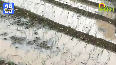 Climate Change Impact