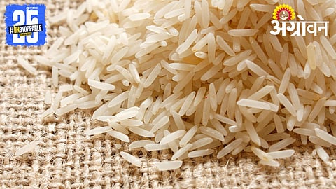 Basmati Exports